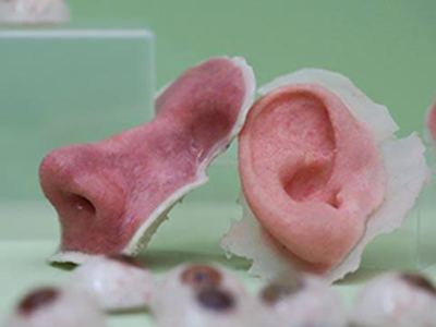 3d打印應(yīng)用案例:3D打印人體器官的那些事兒