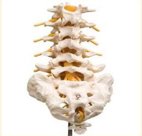 脊椎金屬植入物3